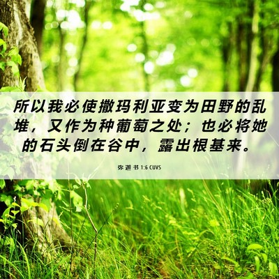 Picture 06 - 弥 迦 书 1:6 CUVS - 所 以 我 必 使 撒 玛 利 亚 变 为 田 - Bible Verse Picture