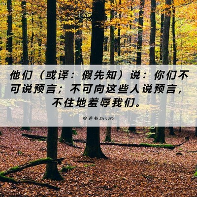 Picture 06 - 弥 迦 书 2:6 CUVS - 他 们 （ 或 译 ： 假 先 知 ） 说 ： - Bible Verse Picture