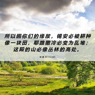 Picture 06 - 弥 迦 书 3:12 CUVS - 所 以 因 你 们 的 缘 故 ， 锡 安 必 - Bible Verse Picture