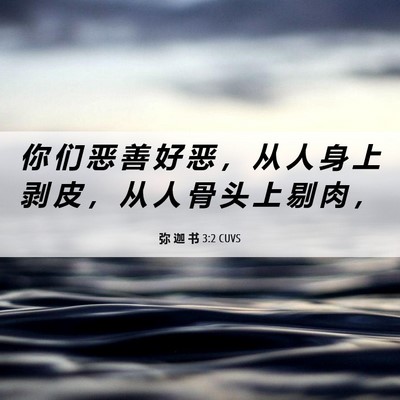 Picture 06 - 弥 迦 书 3:2 CUVS - 你 们 恶 善 好 恶 ， 从 人 身 上 剥 - Bible Verse Picture