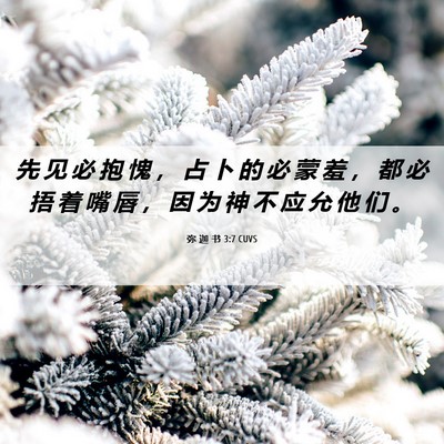 Picture 06 - 弥 迦 书 3:7 CUVS - 先 见 必 抱 愧 ， 占 卜 的 必 蒙 羞 - Bible Verse Picture