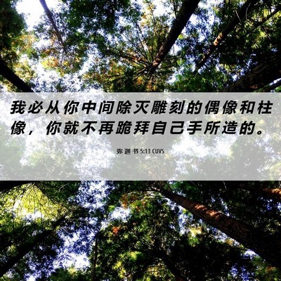 Picture 06 - 弥 迦 书 5:13 CUVS - 我 必 从 你 中 间 除 灭 雕 刻 的 偶 - Bible Verse Picture