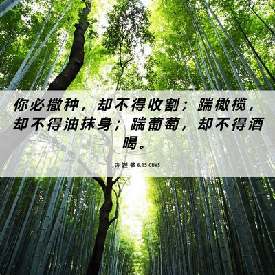 Picture 06 - 弥 迦 书 6:15 CUVS - 你 必 撒 种 ， 却 不 得 收 割 ； 踹 - Bible Verse Picture