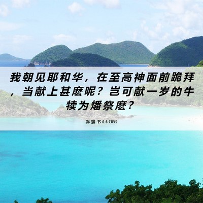 Picture 06 - 弥 迦 书 6:6 CUVS - 我 朝 见 耶 和 华 ， 在 至 高 神 面 - Bible Verse Picture