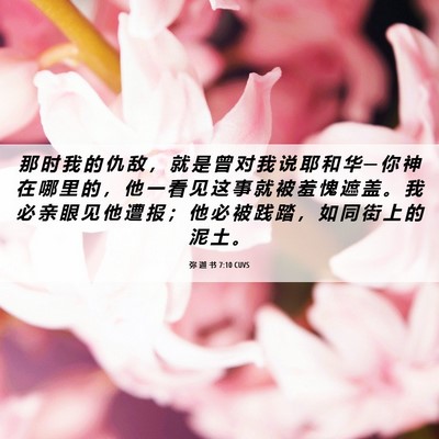 Picture 06 - 弥 迦 书 7:10 CUVS - 那 时 我 的 仇 敌 ， 就 是 曾 对 我 - Bible Verse Picture