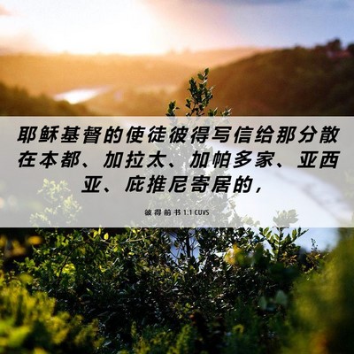 Picture 06 - 彼 得 前 书 1:1 CUVS - 耶 稣 基 督 的 使 徒 彼 得 写 信 给 - Bible Verse Picture