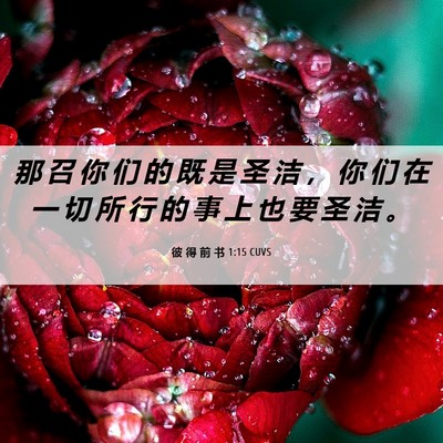 Picture 06 - 彼 得 前 书 1:15 CUVS - 那 召 你 们 的 既 是 圣 洁 ， 你 们 - Bible Verse Picture