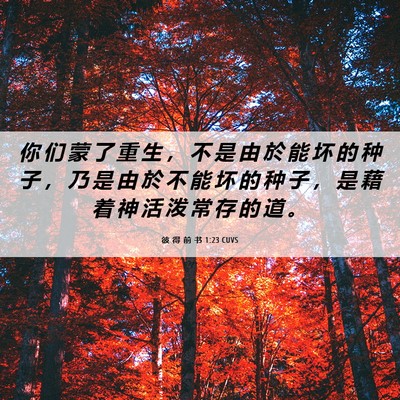 Picture 06 - 彼 得 前 书 1:23 CUVS - 你 们 蒙 了 重 生 ， 不 是 由 於 能 - Bible Verse Picture