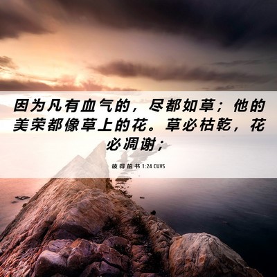 Picture 06 - 彼 得 前 书 1:24 CUVS - 因 为 凡 有 血 气 的 ， 尽 都 如 草 - Bible Verse Picture