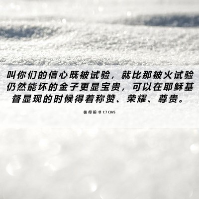 Picture 06 - 彼 得 前 书 1:7 CUVS - 叫 你 们 的 信 心 既 被 试 验 ， 就 - Bible Verse Picture