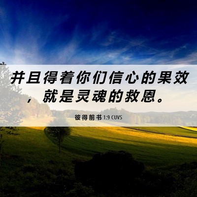 Picture 06 - 彼 得 前 书 1:9 CUVS - 并 且 得 着 你 们 信 心 的 果 效 ， - Bible Verse Picture
