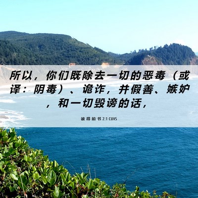 Picture 06 - 彼 得 前 书 2:1 CUVS - 所 以 ， 你 们 既 除 去 一 切 的 恶 - Bible Verse Picture