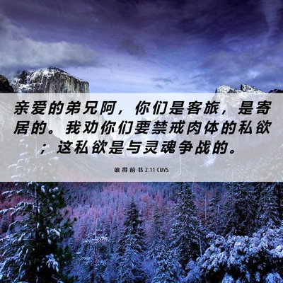 Picture 06 - 彼 得 前 书 2:11 CUVS - 亲 爱 的 弟 兄 阿 ， 你 们 是 客 旅 - Bible Verse Picture