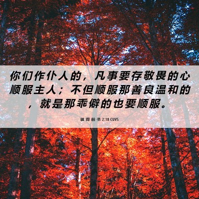 Picture 06 - 彼 得 前 书 2:18 CUVS - 你 们 作 仆 人 的 ， 凡 事 要 存 敬 - Bible Verse Picture