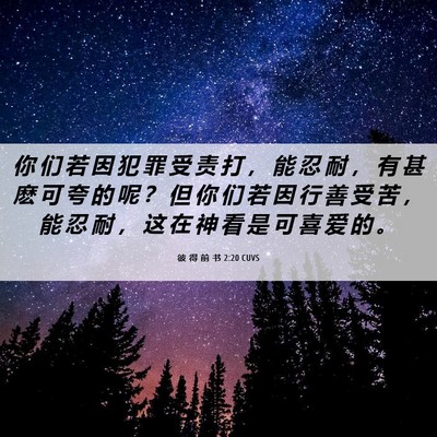 Picture 06 - 彼 得 前 书 2:20 CUVS - 你 们 若 因 犯 罪 受 责 打 ， 能 忍 - Bible Verse Picture