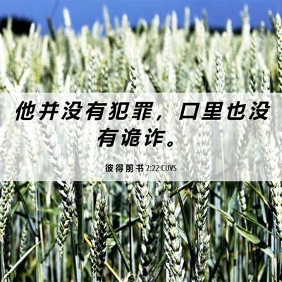 Picture 06 - 彼 得 前 书 2:22 CUVS - 他 并 没 有 犯 罪 ， 口 里 也 没 有 - Bible Verse Picture