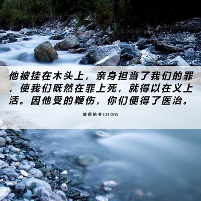 Picture 06 - 彼 得 前 书 2:24 CUVS - 他 被 挂 在 木 头 上 ， 亲 身 担 当 - Bible Verse Picture
