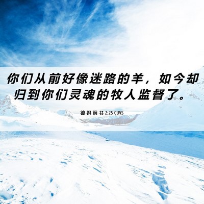 Picture 06 - 彼 得 前 书 2:25 CUVS - 你 们 从 前 好 像 迷 路 的 羊 ， 如 - Bible Verse Picture
