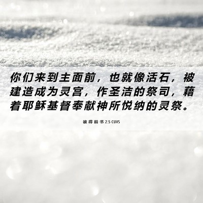 Picture 06 - 彼 得 前 书 2:5 CUVS - 你 们 来 到 主 面 前 ， 也 就 像 活 - Bible Verse Picture
