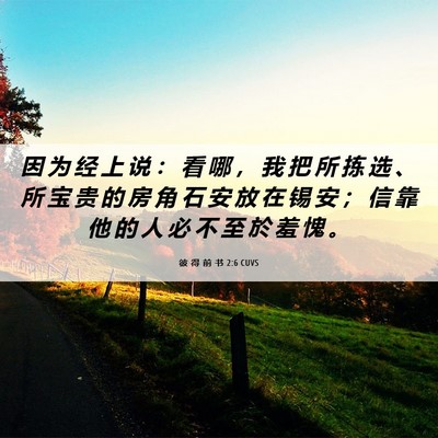 Picture 06 - 彼 得 前 书 2:6 CUVS - 因 为 经 上 说 ： 看 哪 ， 我 把 所 - Bible Verse Picture