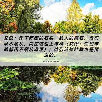 Picture 06 - 彼 得 前 书 2:8 CUVS - 又 说 ： 作 了 绊 脚 的 石 头 ， 跌 - Bible Verse Picture