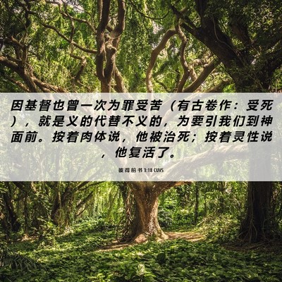 Picture 06 - 彼 得 前 书 3:18 CUVS - 因 基 督 也 曾 一 次 为 罪 受 苦 （ - Bible Verse Picture