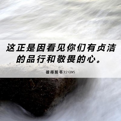 Picture 06 - 彼 得 前 书 3:2 CUVS - 这 正 是 因 看 见 你 们 有 贞 洁 的 - Bible Verse Picture
