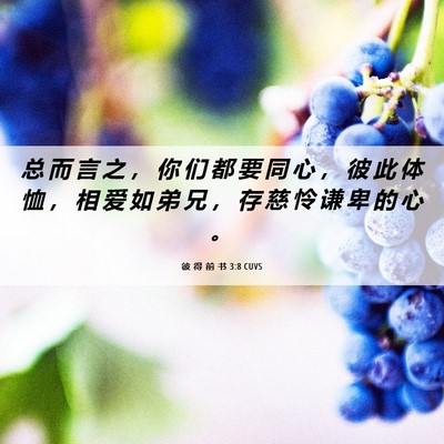 Picture 06 - 彼 得 前 书 3:8 CUVS - 总 而 言 之 ， 你 们 都 要 同 心 ， - Bible Verse Picture
