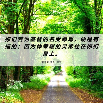Picture 06 - 彼 得 前 书 4:14 CUVS - 你 们 若 为 基 督 的 名 受 辱 骂 ， - Bible Verse Picture