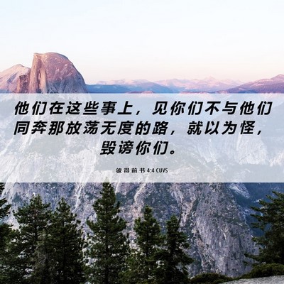 Picture 06 - 彼 得 前 书 4:4 CUVS - 他 们 在 这 些 事 上 ， 见 你 们 不 - Bible Verse Picture