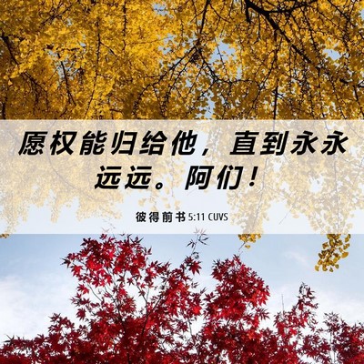 Picture 06 - 彼 得 前 书 5:11 CUVS - 愿 权 能 归 给 他 ， 直 到 永 永 远 - Bible Verse Picture