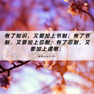 Picture 06 - 彼 得 后 书 1:6 CUVS - 有 了 知 识 ， 又 要 加 上 节 制 ； - Bible Verse Picture