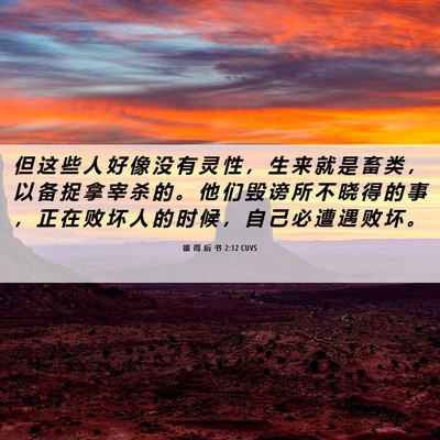 Picture 06 - 彼 得 后 书 2:12 CUVS - 但 这 些 人 好 像 没 有 灵 性 ， 生 - Bible Verse Picture