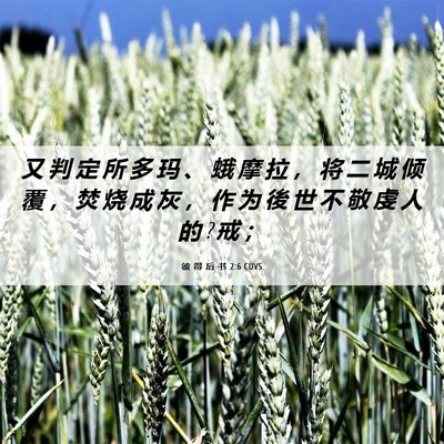 Picture 06 - 彼 得 后 书 2:6 CUVS - 又 判 定 所 多 玛 、 蛾 摩 拉 ， 将 - Bible Verse Picture