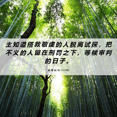 Picture 06 - 彼 得 后 书 2:9 CUVS - 主 知 道 搭 救 敬 虔 的 人 脱 离 试 - Bible Verse Picture