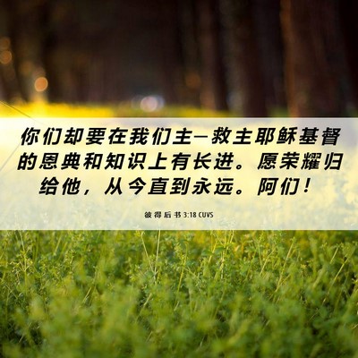 Picture 06 - 彼 得 后 书 3:18 CUVS - 你 们 却 要 在 我 们 主 ─ 救 主 耶 - Bible Verse Picture