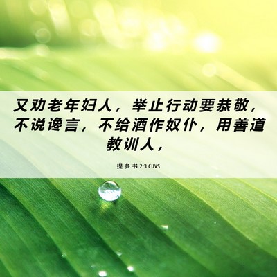 Picture 06 - 提 多 书 2:3 CUVS - 又 劝 老 年 妇 人 ， 举 止 行 动 要 - Bible Verse Picture