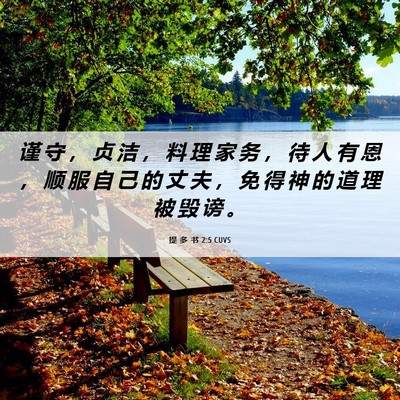 Picture 06 - 提 多 书 2:5 CUVS - 谨 守 ， 贞 洁 ， 料 理 家 务 ， 待 - Bible Verse Picture