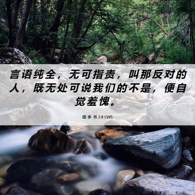 Picture 06 - 提 多 书 2:8 CUVS - 言 语 纯 全 ， 无 可 指 责 ， 叫 那 - Bible Verse Picture