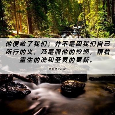 Picture 06 - 提 多 书 3:5 CUVS - 他 便 救 了 我 们 ； 并 不 是 因 我 - Bible Verse Picture