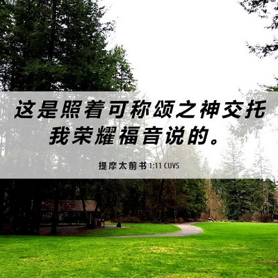Picture 06 - 提 摩 太 前 书 1:11 CUVS - 这 是 照 着 可 称 颂 之 神 交 托 我 - Bible Verse Picture