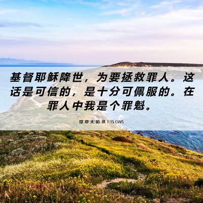 Picture 06 - 提 摩 太 前 书 1:15 CUVS - 基 督 耶 稣 降 世 ， 为 要 拯 救 罪 - Bible Verse Picture