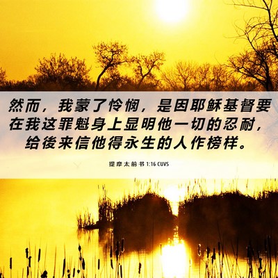 Picture 06 - 提 摩 太 前 书 1:16 CUVS - 然 而 ， 我 蒙 了 怜 悯 ， 是 因 耶 - Bible Verse Picture