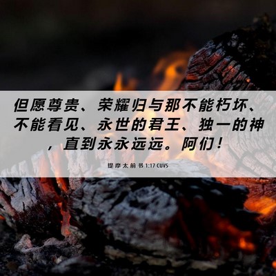 Picture 06 - 提 摩 太 前 书 1:17 CUVS - 但 愿 尊 贵 、 荣 耀 归 与 那 不 能 - Bible Verse Picture