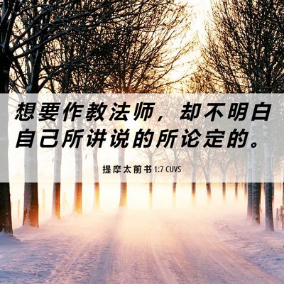 Picture 06 - 提 摩 太 前 书 1:7 CUVS - 想 要 作 教 法 师 ， 却 不 明 白 自 - Bible Verse Picture