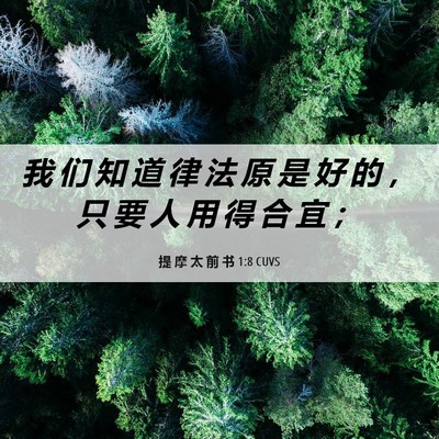 Picture 06 - 提 摩 太 前 书 1:8 CUVS - 我 们 知 道 律 法 原 是 好 的 ， 只 - Bible Verse Picture