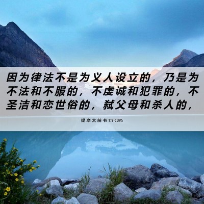 Picture 06 - 提 摩 太 前 书 1:9 CUVS - 因 为 律 法 不 是 为 义 人 设 立 的 - Bible Verse Picture