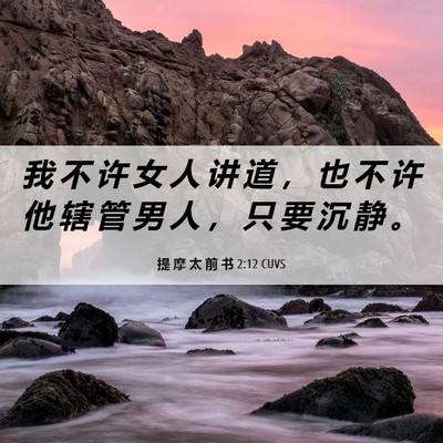 Picture 06 - 提 摩 太 前 书 2:12 CUVS - 我 不 许 女 人 讲 道 ， 也 不 许 他 - Bible Verse Picture