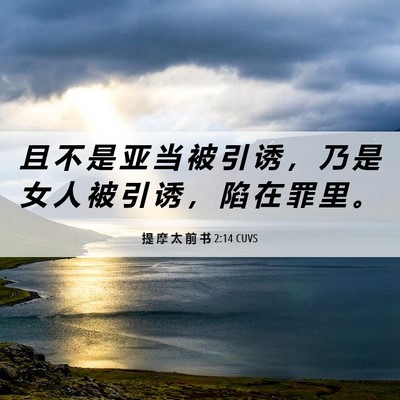 Picture 06 - 提 摩 太 前 书 2:14 CUVS - 且 不 是 亚 当 被 引 诱 ， 乃 是 女 - Bible Verse Picture