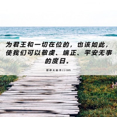 Picture 06 - 提 摩 太 前 书 2:2 CUVS - 为 君 王 和 一 切 在 位 的 ， 也 该 - Bible Verse Picture